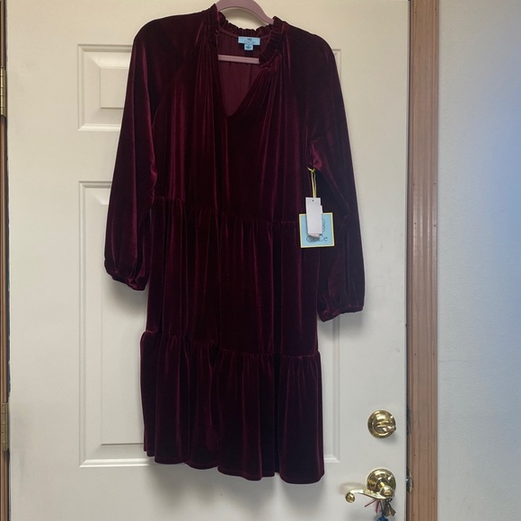 CeCe Deep burgundy Velvet Dress. - Picture 1 of 3